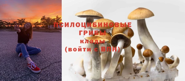 прущая мука Зеленодольск