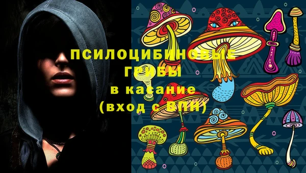 прущая мука Зеленодольск