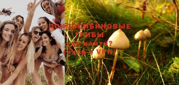 прущая мука Зеленодольск