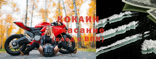 шишки Зерноград