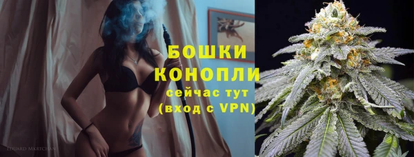 спиды Зеленокумск