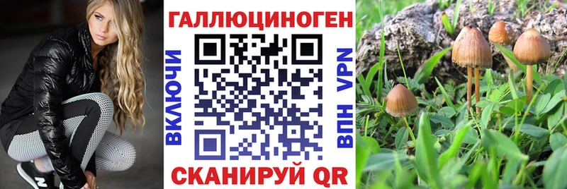Галлюциногенные грибы мухоморы Купить где Железногорск-Илимский
